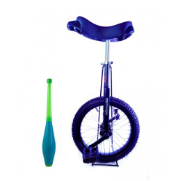 Monociclo Aro 16 Teliang