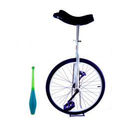 Monociclo Aro 24 Teliang