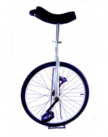 Monociclo Aro 24 Teliang
