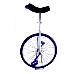 Monociclo Aro 24 Teliang