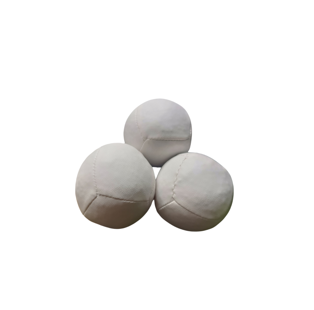 Pelota SiseBalls 6 Paneles C/U