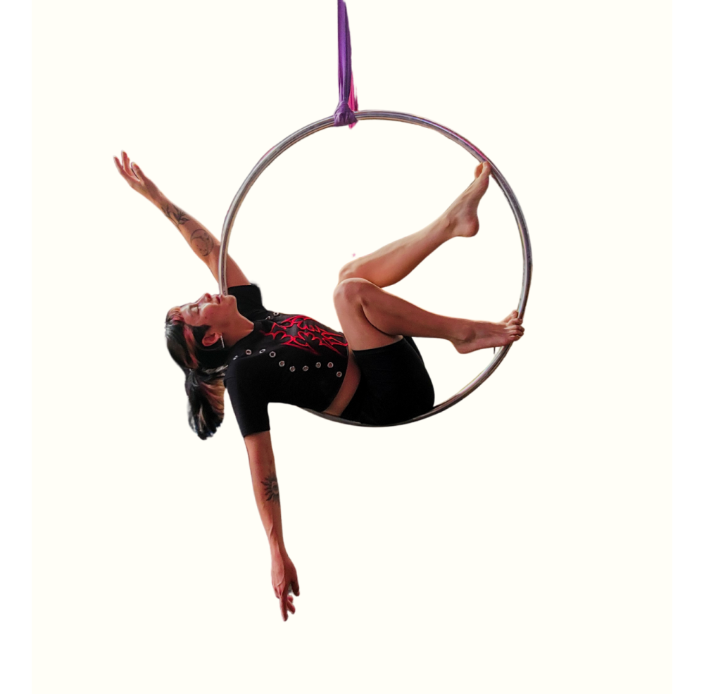 Lira Acero Inoxidable