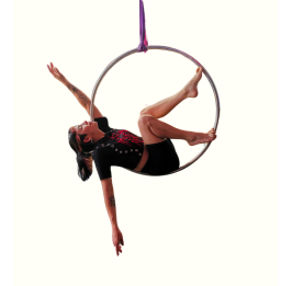 Lira Acero Inoxidable